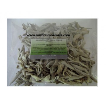 Sálvia Branca da Califórnia 